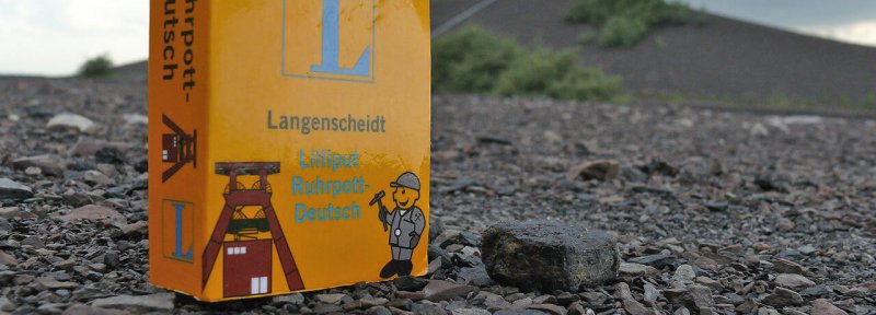 Lilliput Ruhrpott-Deutsch auf Halde-Rungenberg © Sandra Anni Lang